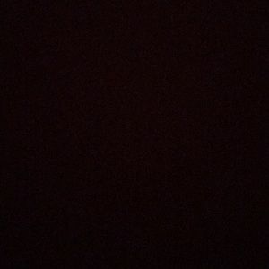 Meet your Posher, Bella